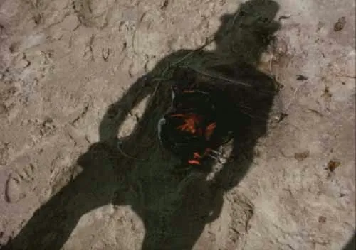 "Der Clown und sein Schatten"