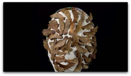 Der rotierende Kutscher