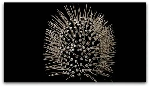 Der rotierende Kutscher