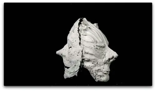 Der rotierende Kutscher