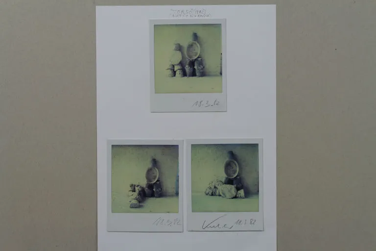 Torso Aktion & Environment