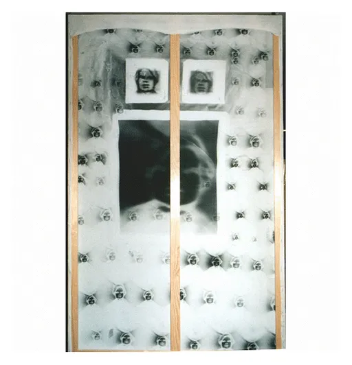 Warhol-Fenster