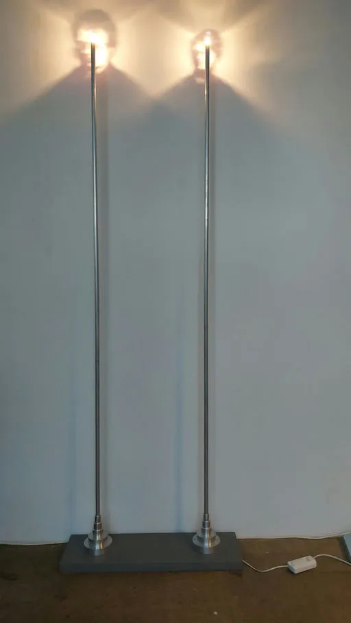 Leuchtende Vorbilder :Max und Elsa Reger